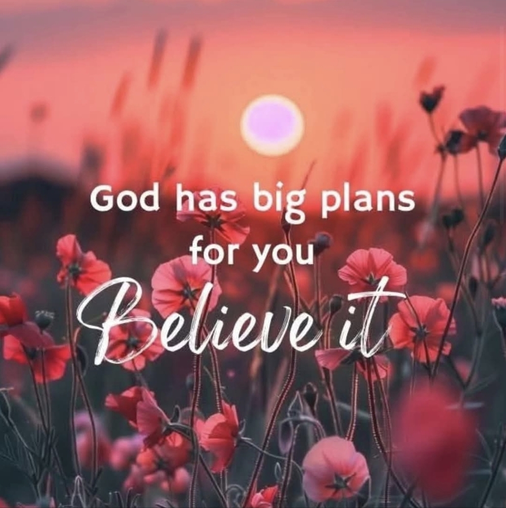 Meet your Posher, Suzy - Picture 2 of 3